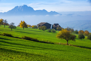 Obraz premium Amazing Panorama of Mount Pilatus and Lake Lucerne covered with frog, Alps, Switzerland