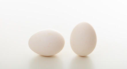 White eggs on white background