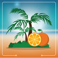 Fototapeta na wymiar Orange and palm tree icon. Fruits summer healthy and organic food theme. Colorful design. Vector illustration