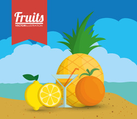 Pineapple lemon orange and cocktail icon. Fruits summer healthy and organic food theme. Colorful design. Vector illustration