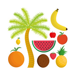 Coconut strawberry pineapple apple watermelon banana orange lemon and palmtree icon. Fruits summer healthy and organic food theme. Colorful design. Vector illustration