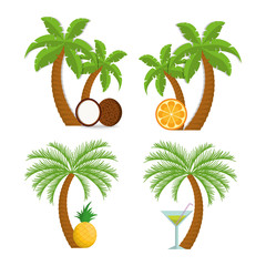 Coconut pineapple orange cocktail and palm tree icon. Fruits summer healthy and organic food theme. Colorful design. Vector illustration