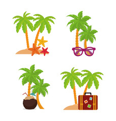 Palm tree coconut bag glasses and sea star icon. Summer beach holiday and vacations theme. Colorful design. Vector illustration