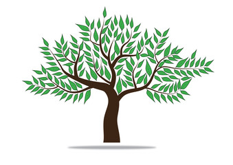 Tree with green leafage. Vector.