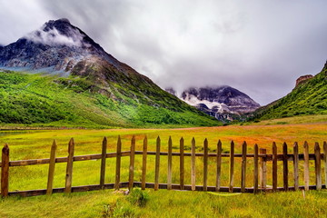 tourist visting autumn forest with mt. jambeyang and Lurong pasture in Yading national level reserve in Daocheng, Sichuan Province, China