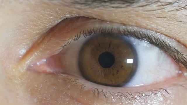 iris pupil contracting slow motion,male brown eye