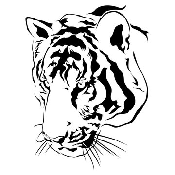 Tiger head black and white, Vector