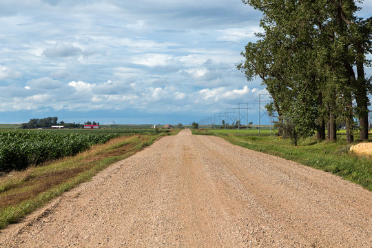 Gravel road through farm fields in rural North Dakota on a summer day. 