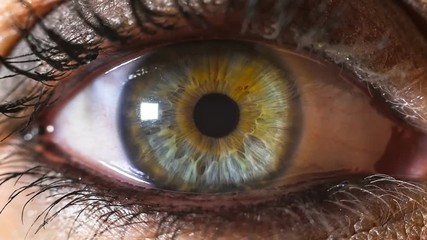 iris pupil contracting slowmotion,female green make up eye - Powered by Adobe