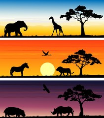 Set of three animals banner