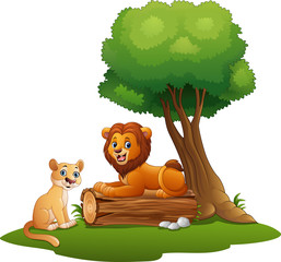 Fototapeta premium Cartoon lion couple in the jungle