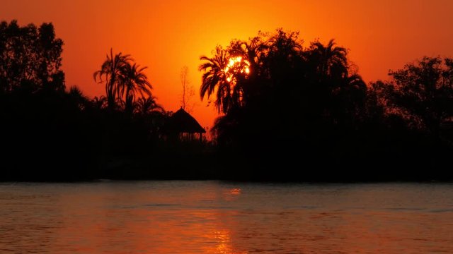 sunset on okawango river botswana,sun hides behind trees tracking shot from boat sun reflection on the water uhd 4k

