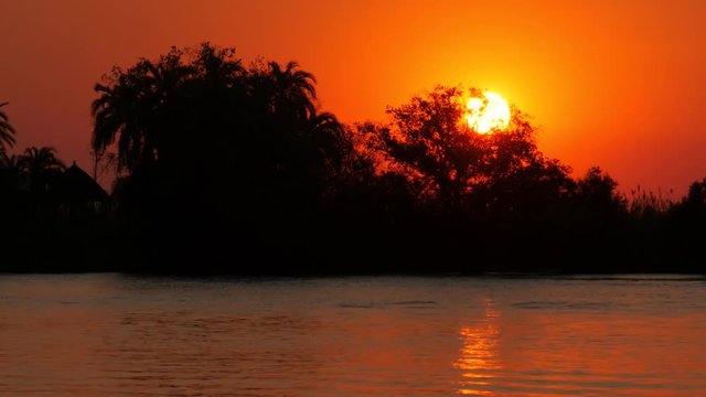 sunset on okawango river botswana,sun hides behind trees tracking shot from boat sun reflection on the water