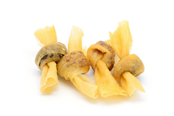 Thai spring roll with fish filling on white