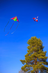 Two kite in the blue sky