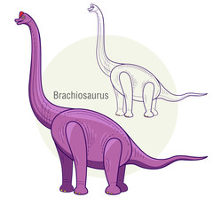 Vector image of a dinosaur - Brachiosaurus.