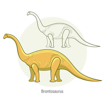 Vector image of a dinosaur - Brontosaurus.