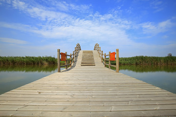 Obraz premium Wetland landscape