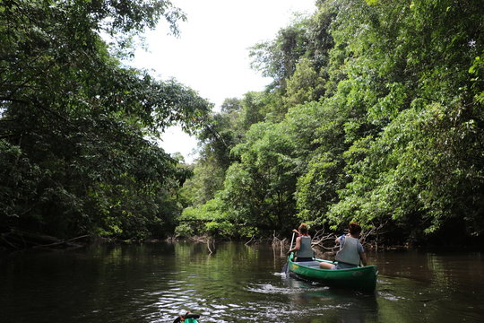Guyane - Camp Cariacou - Ao&ucirc;t 2016