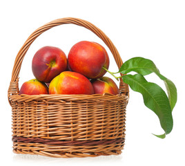 Fresh ripe nectarines