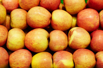 Apple harvest