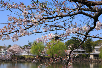 Fototapeta na wymiar 奈良、春の荒池と興福寺
