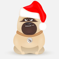 cute little bulldog,