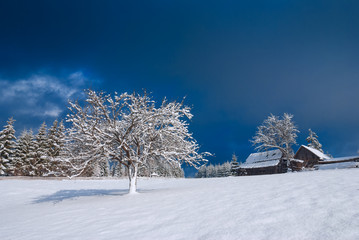Snowy Carpathians