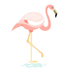Vector illustration of bird flamingo.