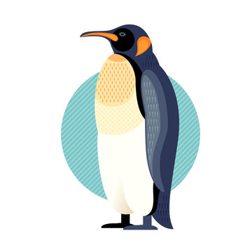 Vector illustration of bird penguin.