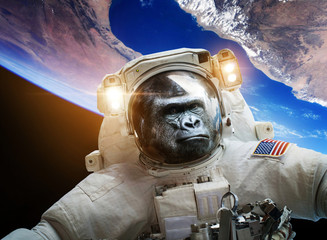 Goryl małpy astronauta w kosmosie. Elementy tego zdjęcia dostarczone przez NASA. - 120756300