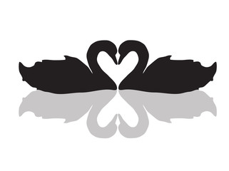 Love Text with Swans