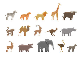 Animals. Set colored vector icons and symbols