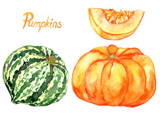 Hand Painted Watercolor Illustration: Set of ripe pumpkins and slice (autumn harvest)