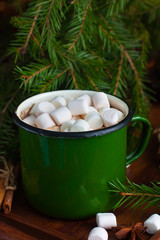 Cocoa with marshmallows in a green vintage mug on  background of  trees