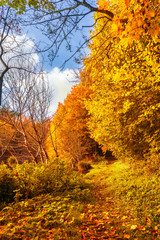 farbenfrohe Herbstlandschaft