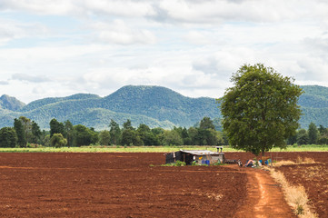 Fototapeta premium Rural Farmhouse