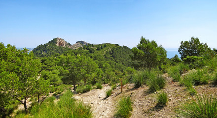 Fototapeta na wymiar Hiking path in the mountains, panorama