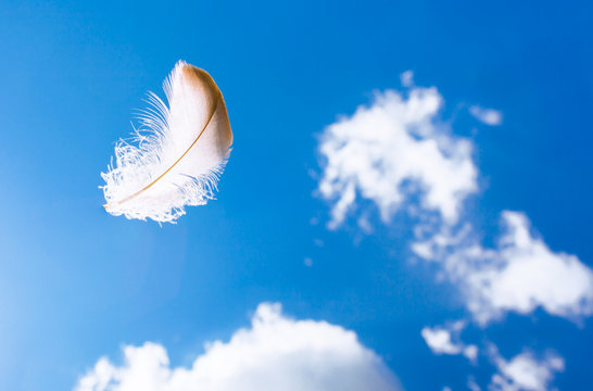 Peaceful and relaxing concept. Feather floating in the sky. 