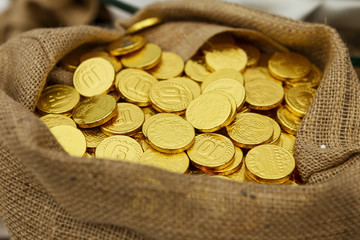 Closeup golden coin in hessian money bag