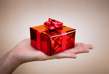 Hand holding a neatly wrapt gift. 