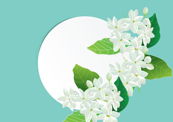 template white paper circle shape cover outside with jasmine flower .Crown jasmine flowers with leaves  top view vector illustration