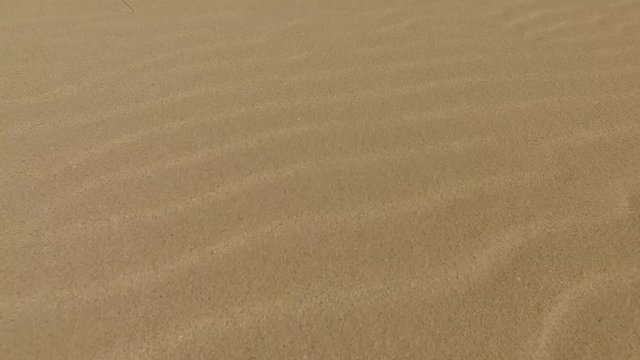 Sabbia del deserto e dune, granelli di sabbia, dune modellate dal vento, Corralejo, parco naturale. Fuerteventura. Isole Canarie
(Ultra High Definition, UltraHD, Ultra HD, UHD, 4K, 2160P, 3840x2160)