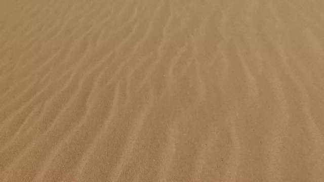 Sabbia del deserto e dune, granelli di sabbia, dune modellate dal vento, Corralejo, parco naturale. Fuerteventura. Isole Canarie
(Ultra High Definition, UltraHD, Ultra HD, UHD, 4K, 2160P, 3840x2160)