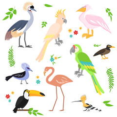 Obraz na płótnie Canvas Colorful icons birds. Tropical birds collection.