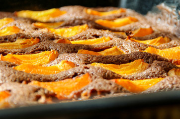 Blechkuchen mit Marillen