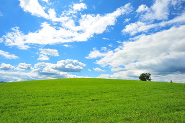 Cultivated Lands at Countryside of Hokkaido, Japan