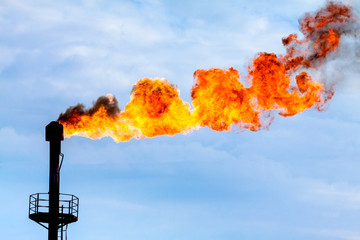 Torches for casing-head gas flaring during oil