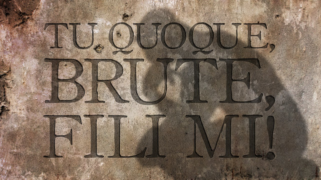 Tu quoque, Brute, fili mi. A Latin phrase that means And you, Brutus or You too, Brutus. Caesar s last words.