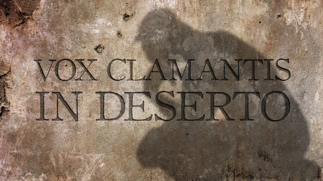 Vox clamantis in deserto. The voice of one crying out in the desert. A reference to John the Baptist. Has the meaning of he speaks but nobody listens to him.